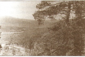 Золотоносная долина реки Большой Балаганах