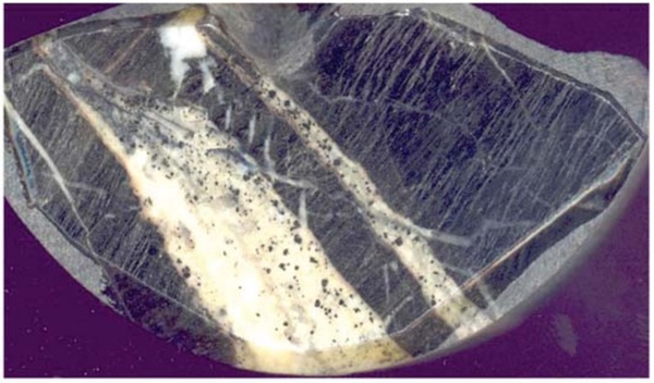 Banded phyllite with quartz-carbonate veins