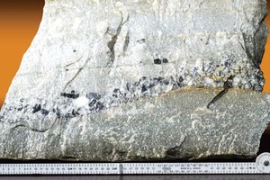 Multi band carbon leader reef facies specimen