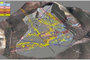 100 m Bench Level Gold Distribution Donlin deposit