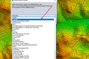 Selecting the file format