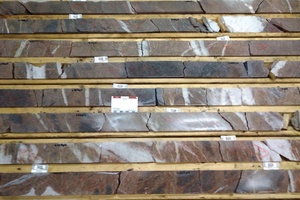 Altered and Veined Drill Core