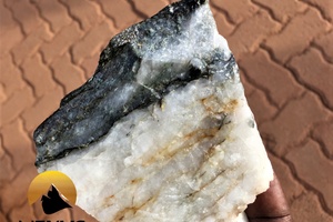 Main quartz vein and associated shear zone