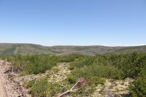 Поисковое бурение на рудопроявлении Гросс. Лето 2007.