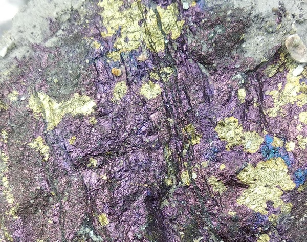 Халькопирит-борнитовая минерализация