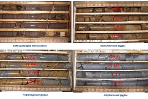 Вмещающие породы и руды месторождения