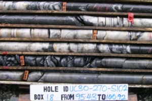 Main-Reef fault-filled quartz vein