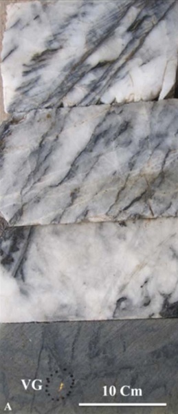 Mineralized core intervals from four different Boreholes.