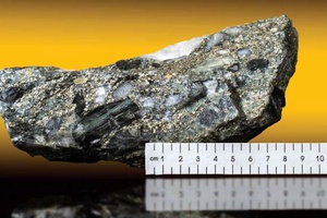 Highly mineralised Ventersdorp Contact Reef sample with buckshot pyrite
