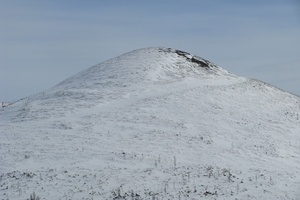 Гросс, март 2007