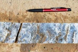 Drill core from Alta Gracia showing banded white to dark-gray quartz
