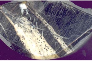 Banded phyllite with quartz-carbonate veins