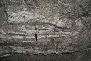 Mineralized quartz vein within the exploration adit