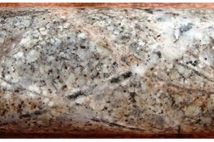 Dacite porphyry with stockwork of veinlets of quartz