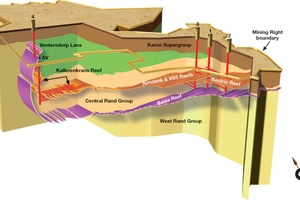 Schematic view the Beatrix orebody