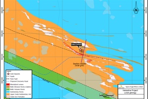 Local geology map showing the Discovery deposit area
