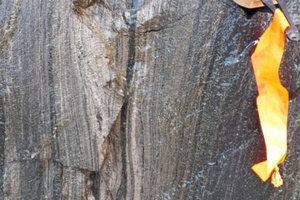 Foliation-parallel pyrrhotite mineralization