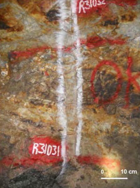 Quartz‐sulfidic veins hosted in granodiorite rocks