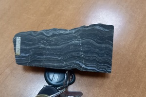 Углеродсодержащий сланец с золотом