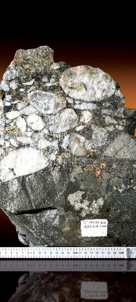 Ventersdorp Contact Reef C-Facies specimen