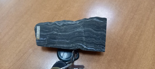 Углеродсодержащий сланец с золотом