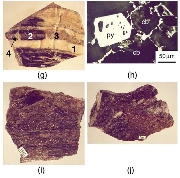 Ores and rocks specimens, Cuiaba deposit. Part II.
