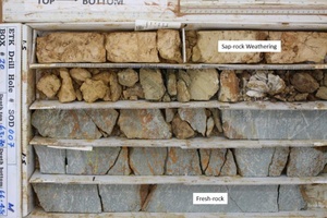 Sap-rock - fresh-rock contact