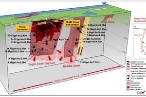 Longitudinal block view of sugar zone area showing relationship of subzones and drill results