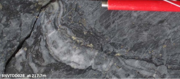Deformed nature of the quartz veins within the graphitic shear zone