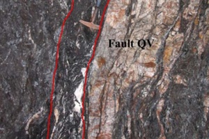 Reef style mineralization