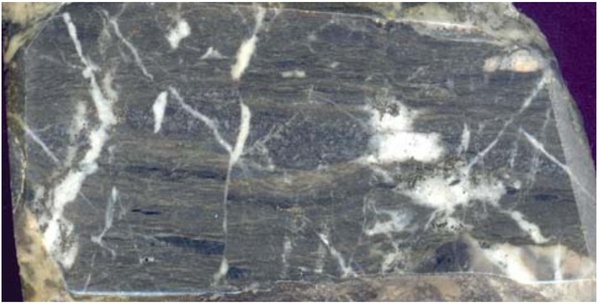 Carbonaceous chlorite-sericite metasomatite