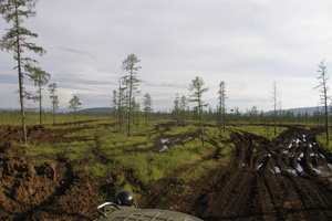 Дорога на месторождение