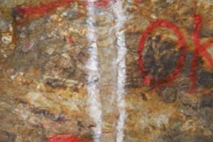 Quartz‐sulfidic veins hosted in granodiorite rocks