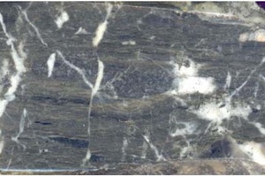 Carbonaceous chlorite-sericite metasomatite