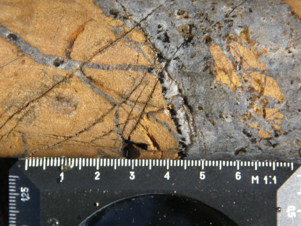 Кварцевые жилы в метасоматически измененном песчанике