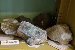 Золото-кварцевый штокверк в гранитоидах