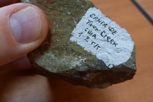 Twin Creeks oxidized ore