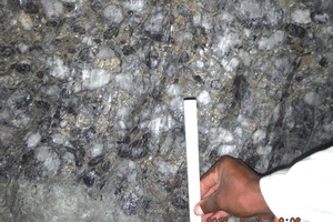 VS5 Aandenk reef of the Eldorado Formation, Witwatersrand