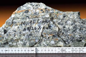 Secondary reef sample underlying the carbon leader reef