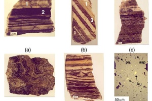 Ores and rocks specimens, Cuiaba deposit. Part I.