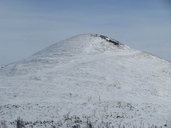 Гросс, март 2007