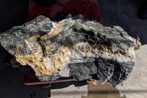Quartz specimen with gold. Beta Hunt