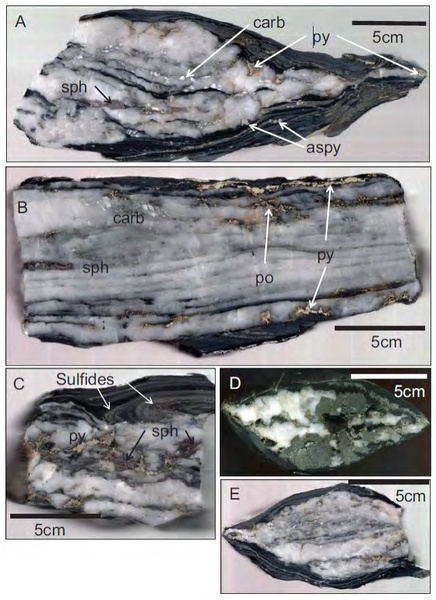Mineralization types and veins, sulfides and boudins morphology