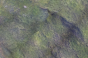 Aerial photography of the surface
