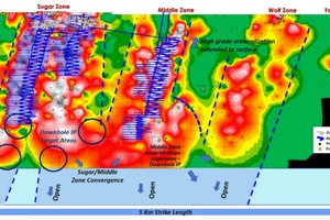 Longitudinal projection – contoured gold grades