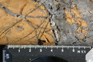 Кварцевые жилы в метасоматически измененном песчанике