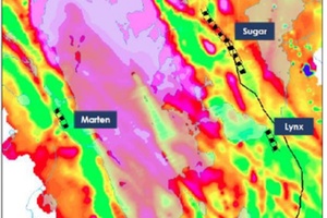 Detail of airborne magnetic map in Sugar zone area