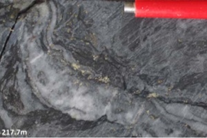 Deformed nature of the quartz veins within the graphitic shear zone