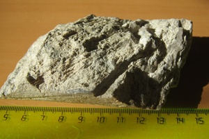 Первичные руды месторождения Погромное