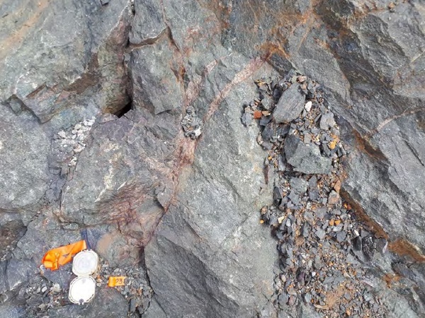 Remobilized pyrrhotite veins